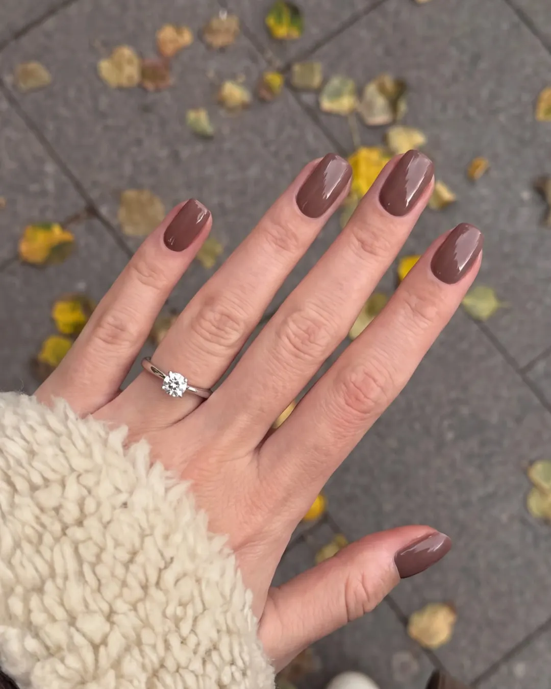 The Gel Collection 290 Reading Nook gel polish brun