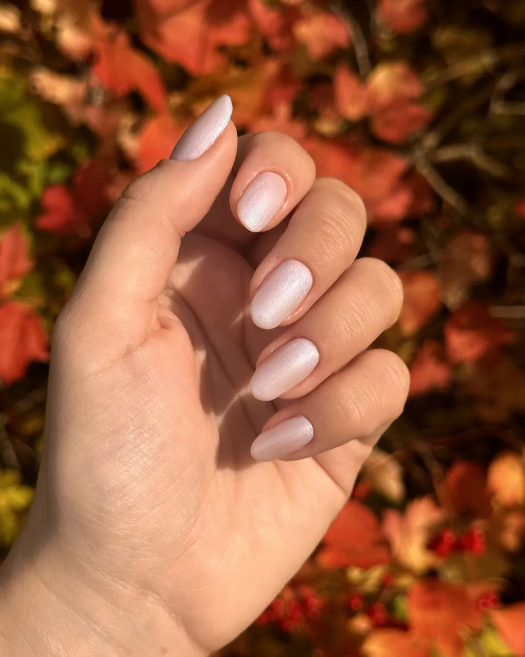 The Gel Collection 280 Something New gellak perle transparent