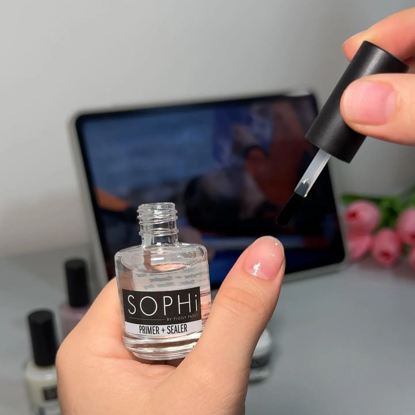 Piggy Paint SOPHi Primer + Sealer underlak chipmodstand