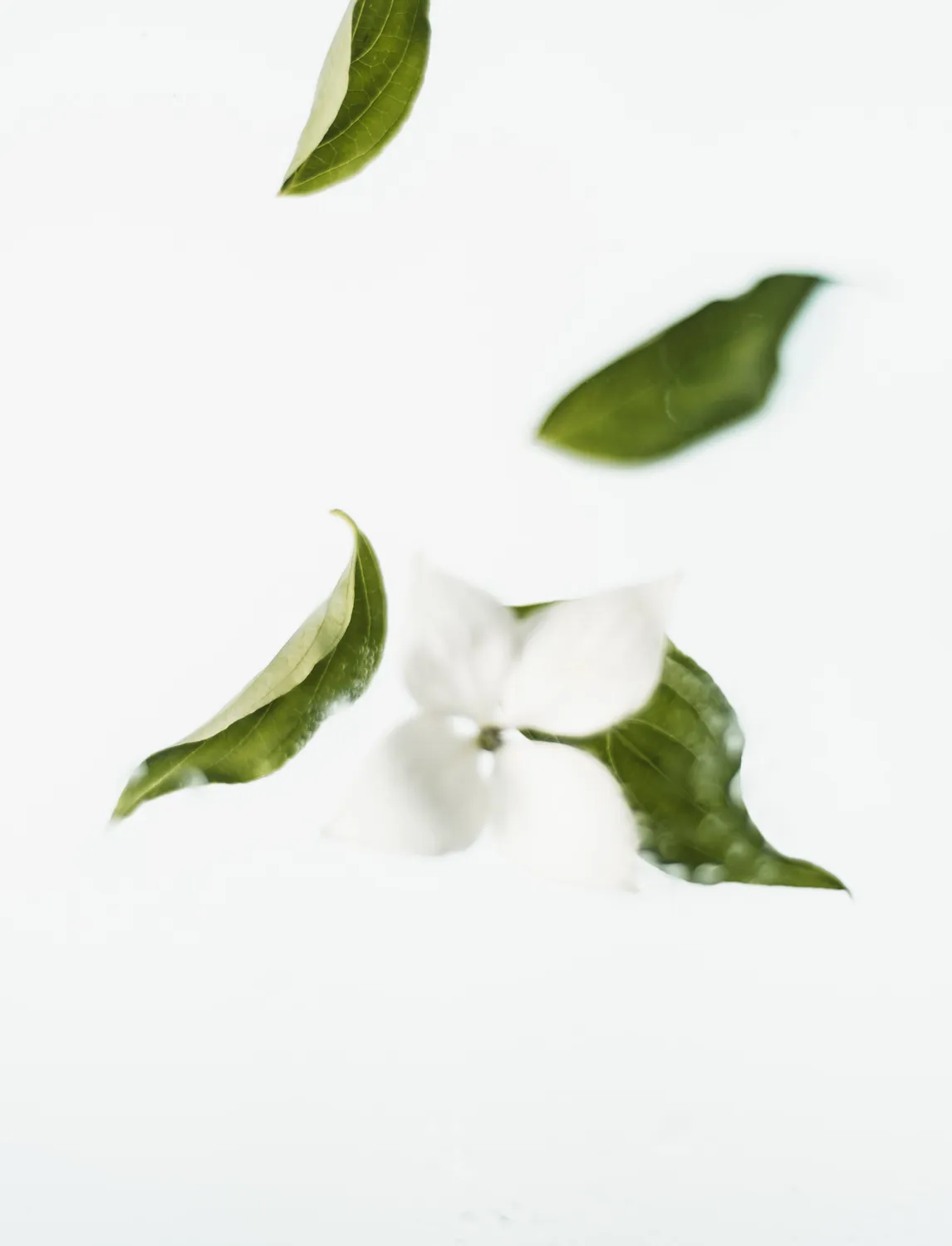 LVX Green Tea Nail Oil negleolie