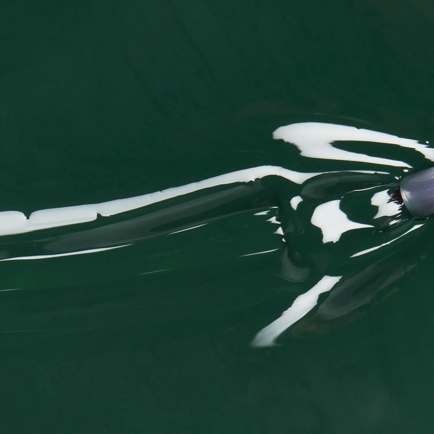 China Glaze Midnight Pine neglelak med bred pensel